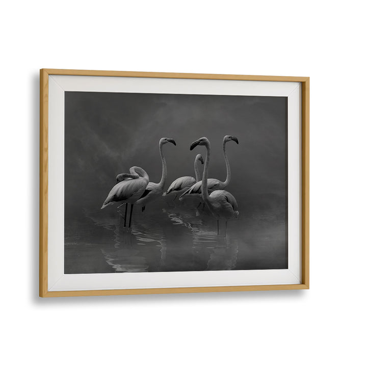 Serene black and white FLAMINGO PARADISE, PHOTOGRAPHY PRINTS featuring elegant flamingos in tranquil waters.