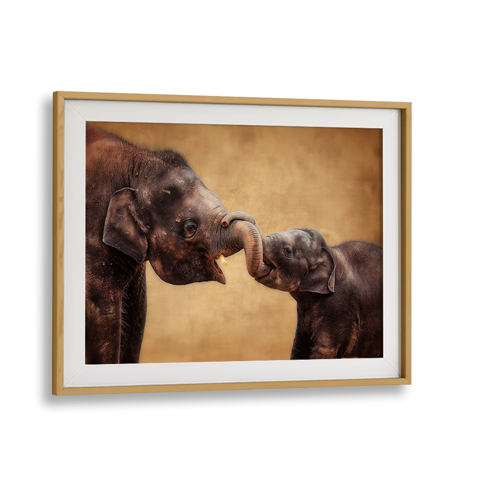 A touching moment between elephants featured in HAND IN HAND, PHOTOGRAPHY PRINTS, celebrating wildlife's beauty.