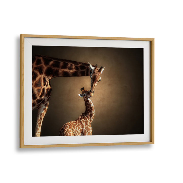 Giraffes share a tender moment in "BATHING TIME, PHOTOGRAPHY PRINTS," capturing nature's beauty perfectly.