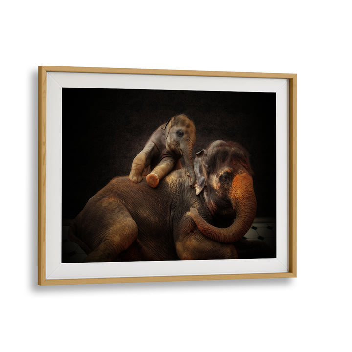 Adorable elephants captured in “FUN WITH THE KIDS I, PHOTOGRAPHY PRINTS,” showcasing wildlife's beauty and charm.