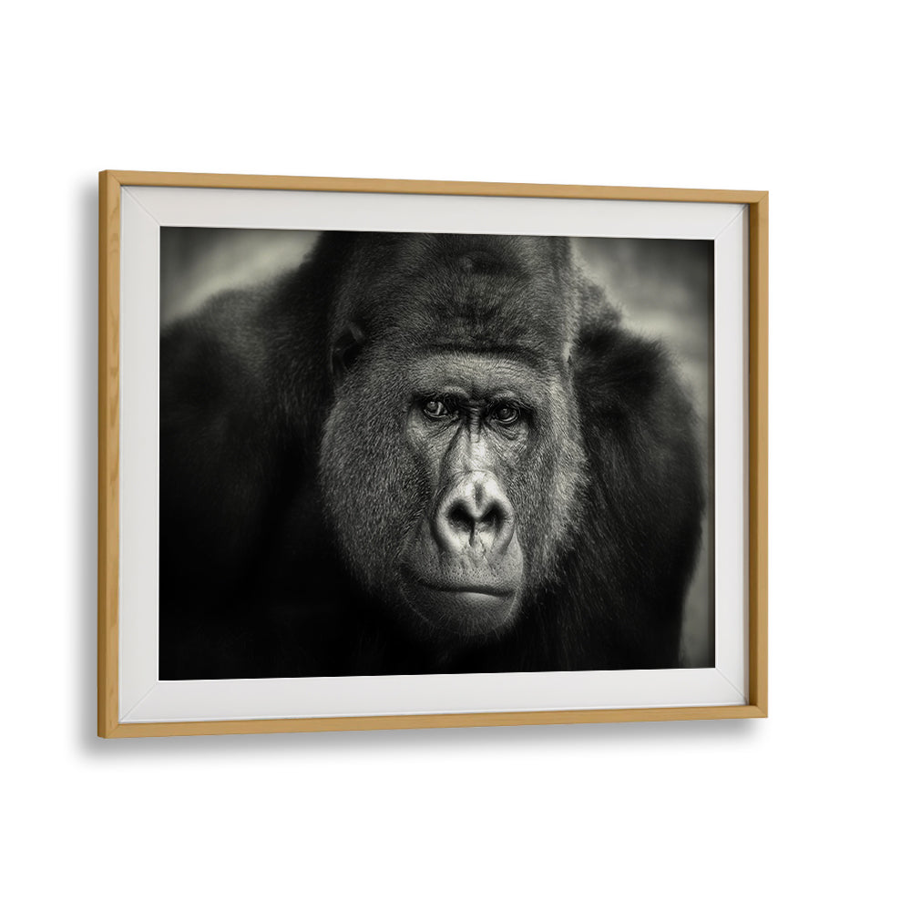 LITTLE SMILE , PHOTOGRAPHY PRINTS