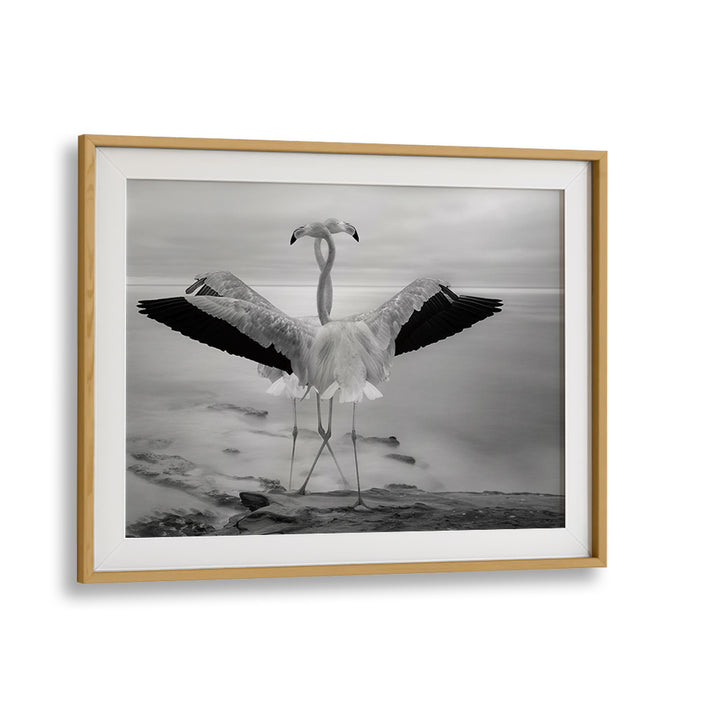 Elegant FLAMINGO'S DUET, PHOTOGRAPHY PRINTS, showcases two graceful flamingos in serene harmony, perfect for any decor.