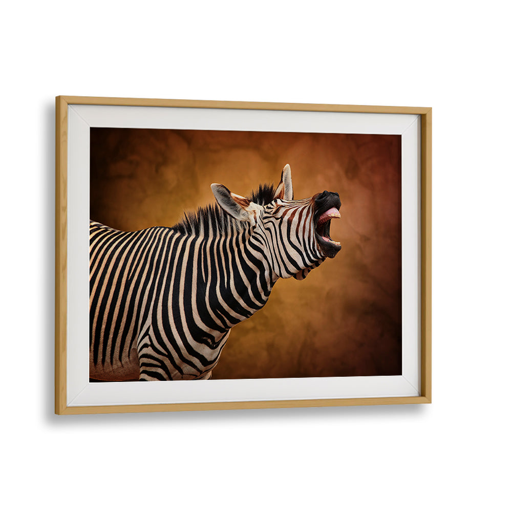 Stunning zebra print captures nature's essence in "LOVE IS IN THE AIR, PHOTOGRAPHY PRINTS" for wildlife enthusiasts.