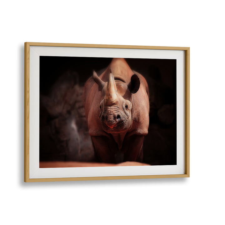 Captivating wildlife print featuring a rhinoceros, perfect for nature lovers from WHAT'S GOIN ON, PHOTOGRAPHY PRINTS.