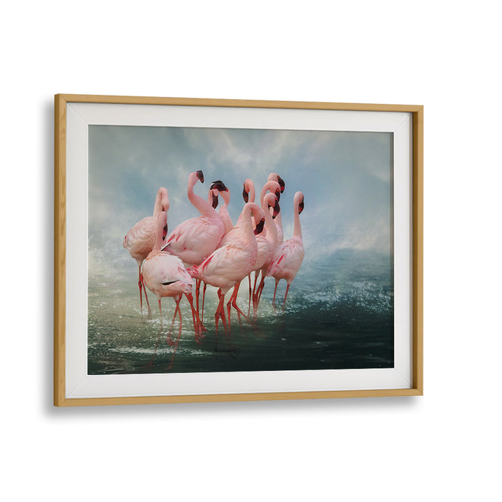 Elegant pink flamingos gathered at the water's edge in the LESSER FLAMINGO SUMMIT, PHOTOGRAPHY PRINTS collection.