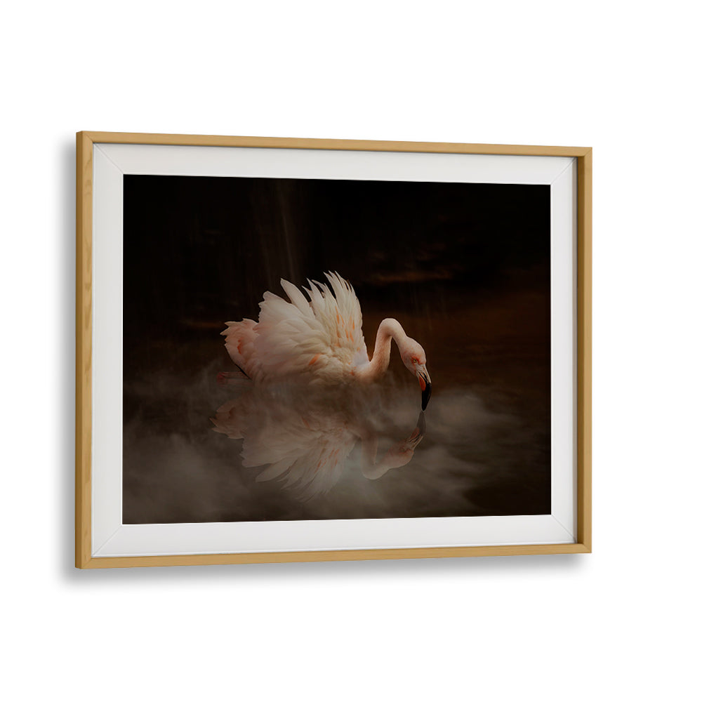 FLAMINGO'S PARADISE, PHOTOGRAPHY PRINTS feature a graceful pink flamingo reflecting in serene waters.