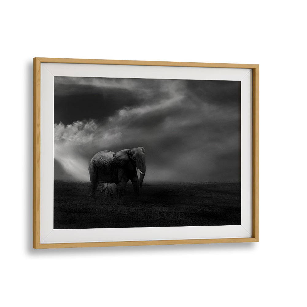 Mother elephant and baby in a stunning wildlife scene, embodying the essence of AFFECTION, PHOTOGRAPHY PRINTS.