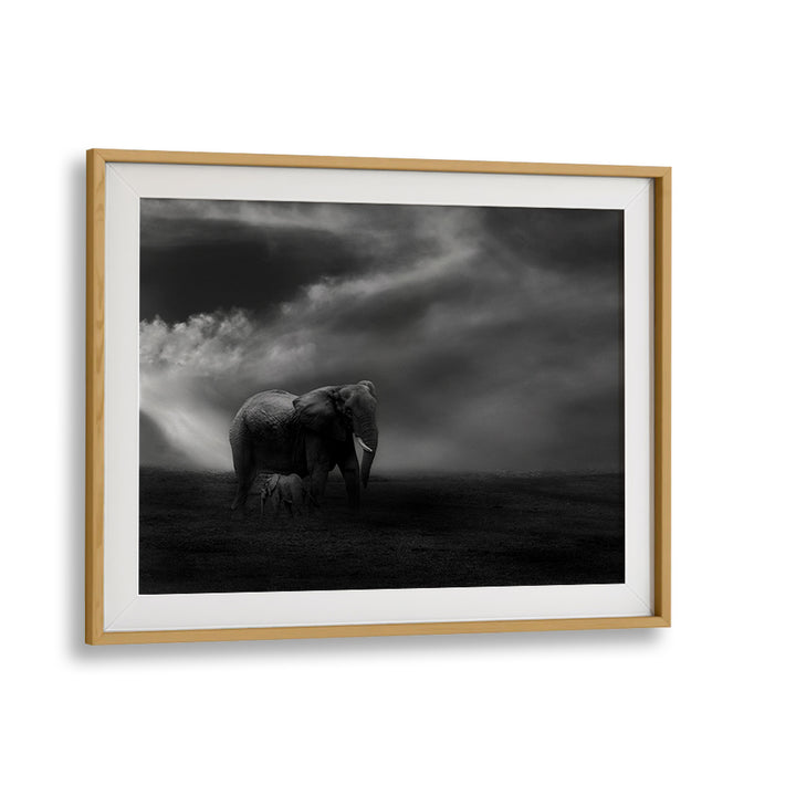 Mother elephant and baby in a stunning wildlife scene, embodying the essence of AFFECTION, PHOTOGRAPHY PRINTS.