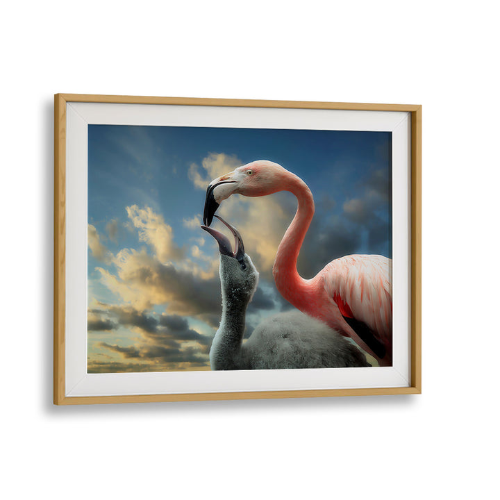 Captivating wildlife scene featuring flamingos, part of THE NESTLING, PHOTOGRAPHY PRINTS collection, celebrating nature's beauty.