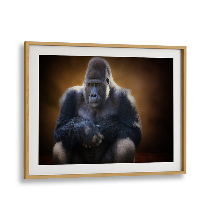 Stunning gorilla artwork from SOUR, PHOTOGRAPHY PRINTS, showcasing the beauty of wildlife photography.