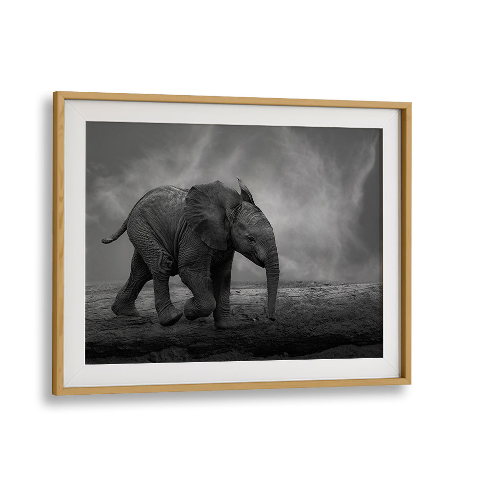 Solitary elephant walking across a barren landscape in stunning WALKING AROUND, PHOTOGRAPHY PRINTS collection.