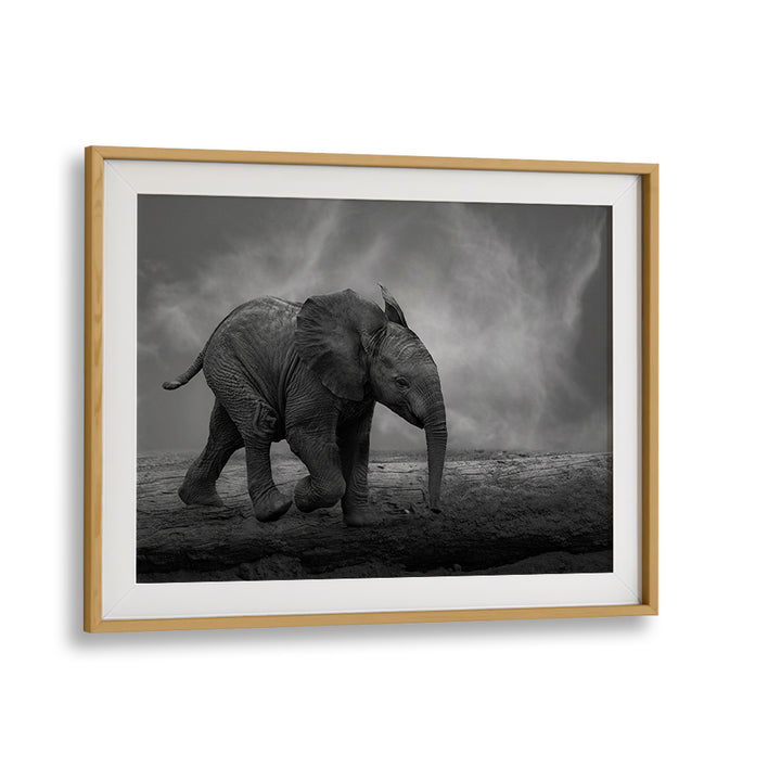 Solitary elephant walking across a barren landscape in stunning WALKING AROUND, PHOTOGRAPHY PRINTS collection.