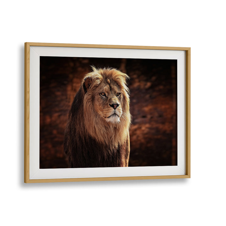A majestic lion portrait from HIS MAJESTY, PHOTOGRAPHY PRINTS, showcasing the beauty of wildlife art.