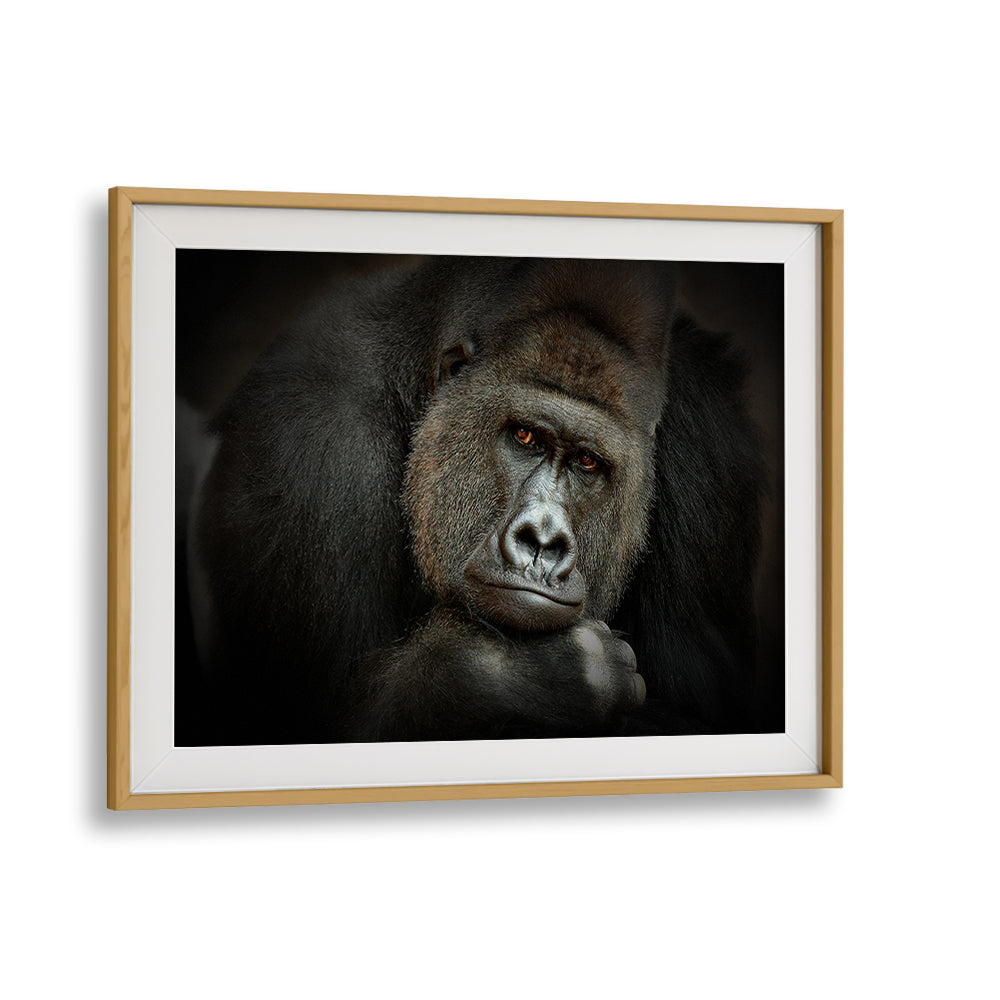 Stunning close-up of a gorilla in "Peaceful Giant" photography prints, showcasing nature's beauty by Antje Wenner Braun.