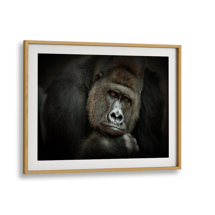Stunning close-up of a gorilla in "Peaceful Giant" photography prints, showcasing nature's beauty by Antje Wenner Braun.
