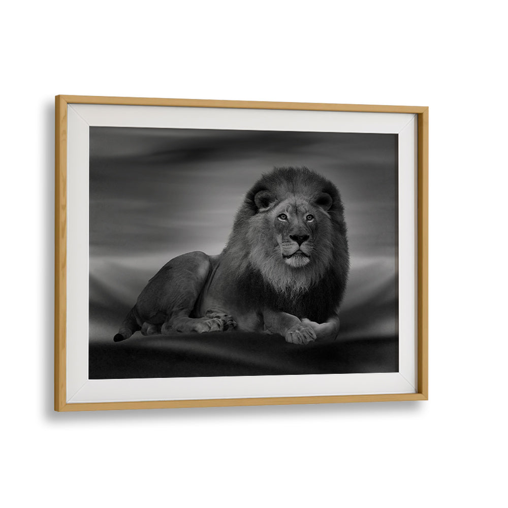 Majestic lion artwork from THE LION KING, PHOTOGRAPHY PRINTS, showcasing nature's beauty in fine art.