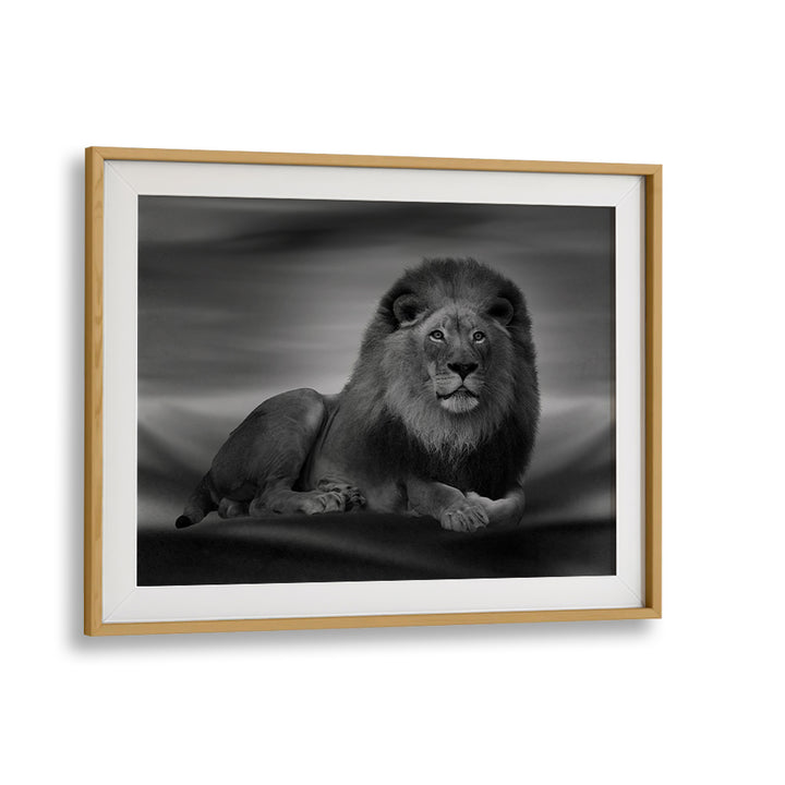Majestic lion artwork from THE LION KING, PHOTOGRAPHY PRINTS, showcasing nature's beauty in fine art.