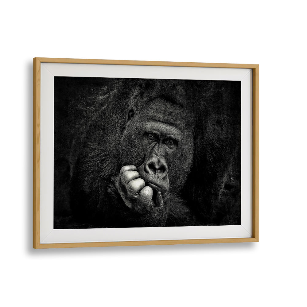 Stunning wildlife art featuring a contemplative gorilla, perfect for YOU, PHOTOGRAPHY PRINTS enthusiasts.