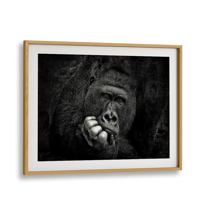 Stunning wildlife art featuring a contemplative gorilla, perfect for YOU, PHOTOGRAPHY PRINTS enthusiasts.