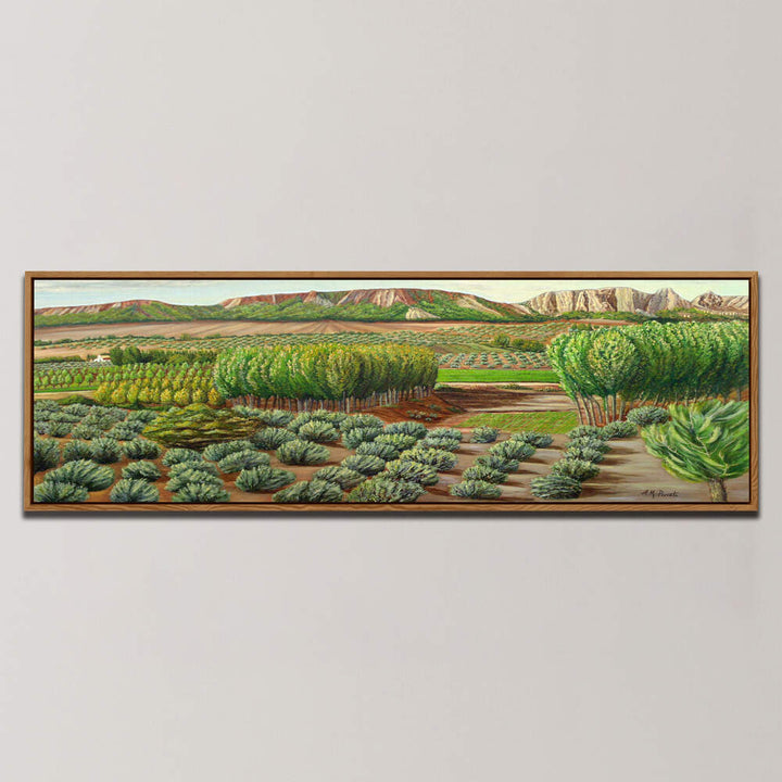 BRIGHT MORNING IN ALCUDIA