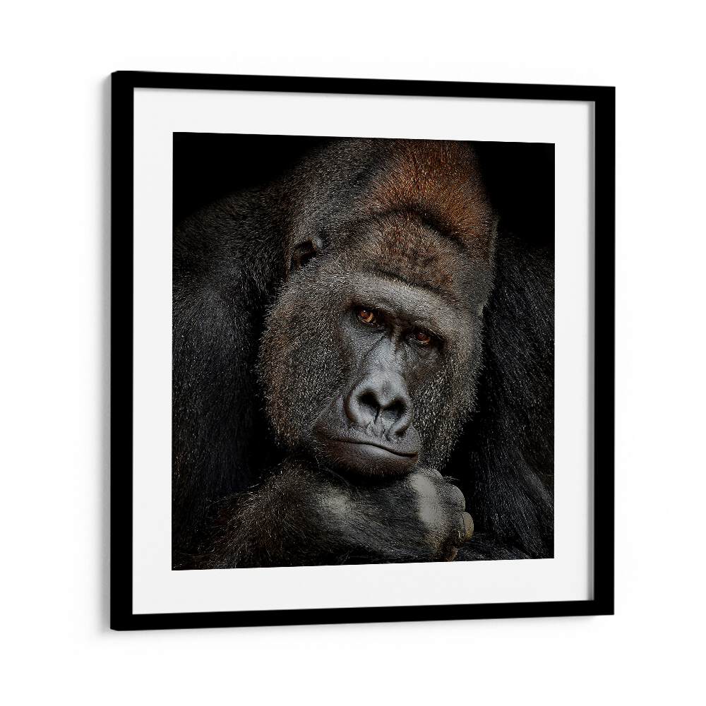 ONE MOMENT IN CONTACT WILDLIFE PHOTOGRAPHY in Black Frame With Mount