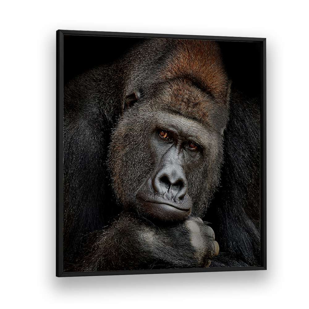 ONE MOMENT IN CONTACT WILDLIFE-PHOTOGRAPHY in Black Plain Frame