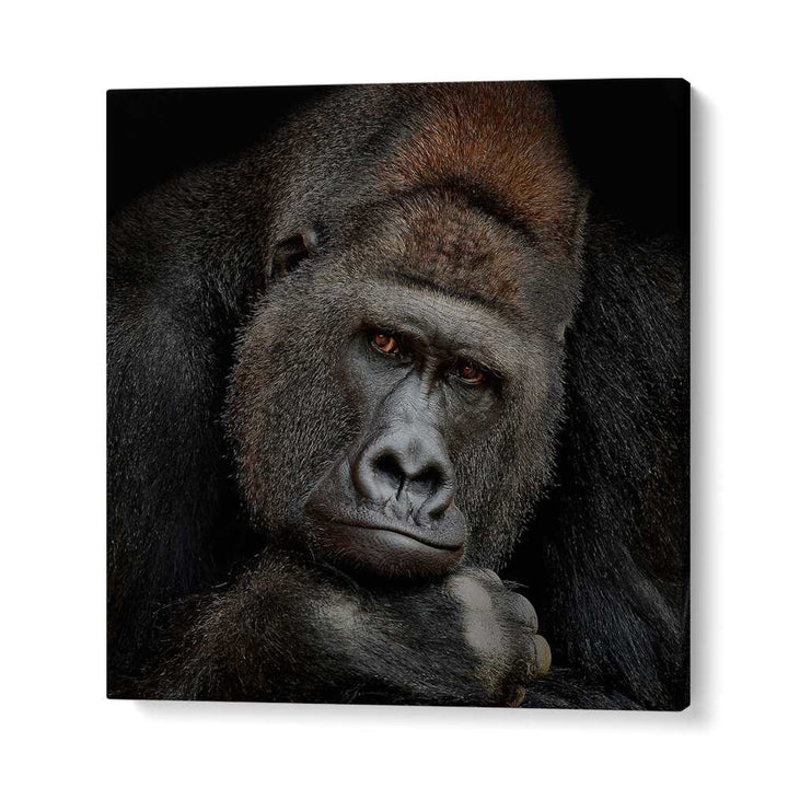 ONE MOMENT IN CONTACT WILDLIFE PHOTOGRAPHY in Gallery Wrap