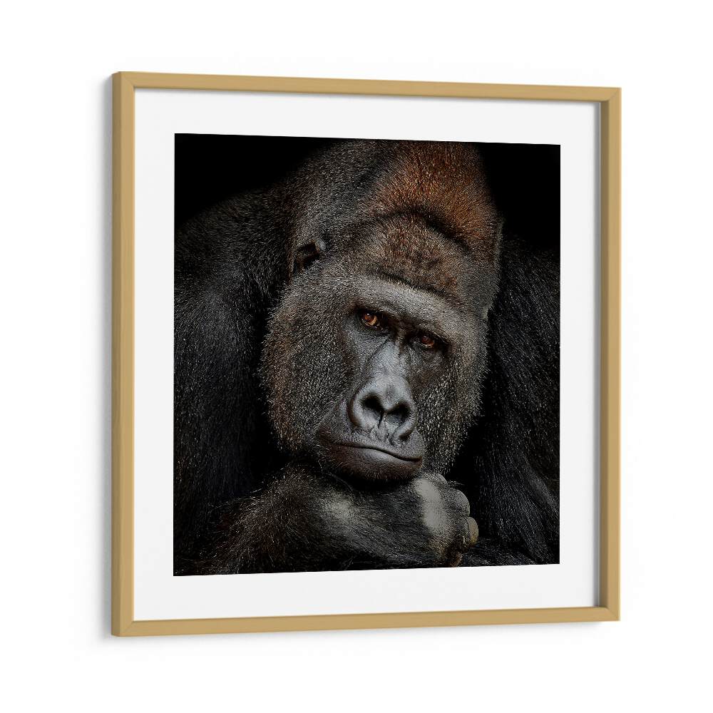 ONE MOMENT IN CONTACT WILDLIFE PHOTOGRAPHY in Oak Wood Frame With Mount