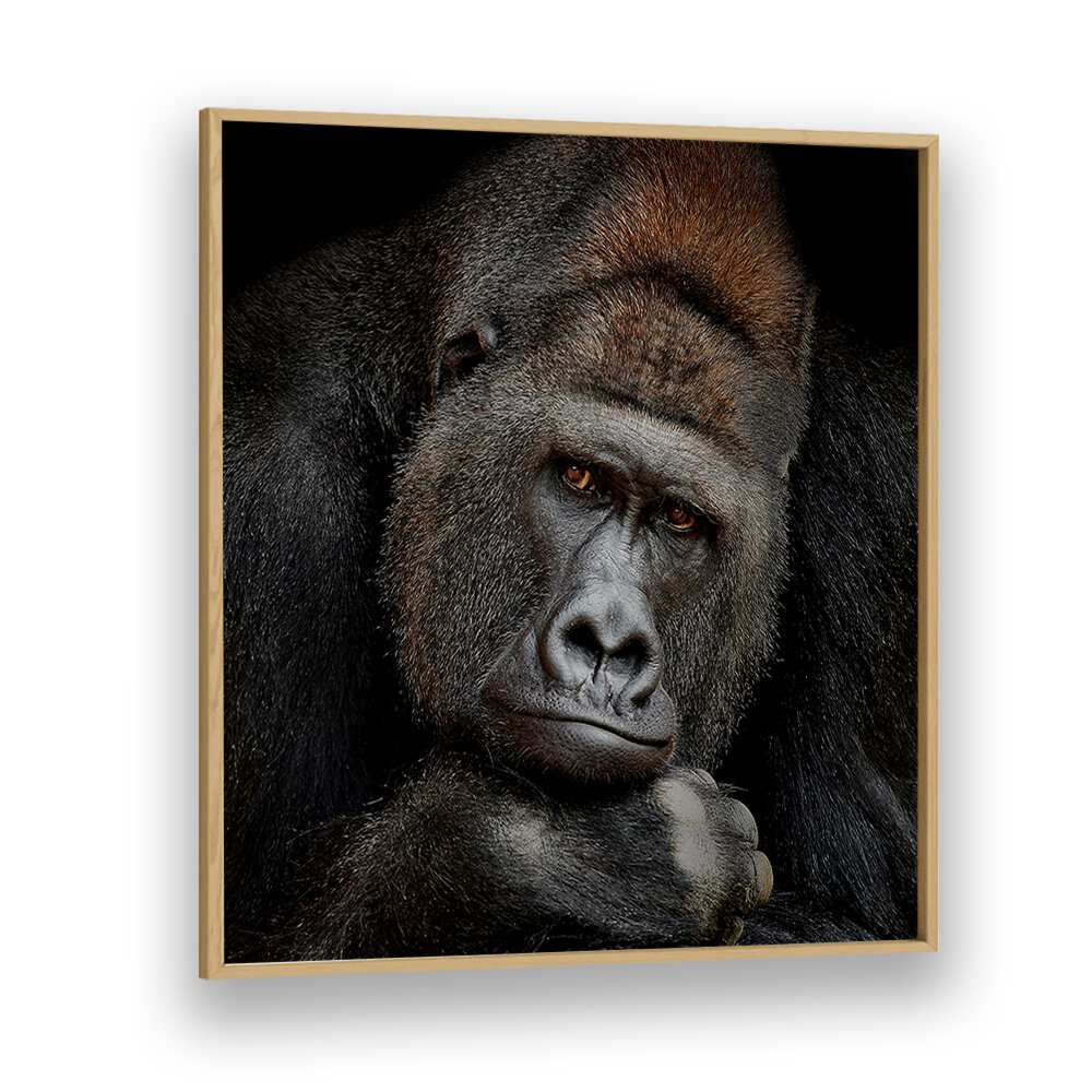 ONE MOMENT IN CONTACT WILDLIFE-PHOTOGRAPHY in Oak Wood Plain Frame