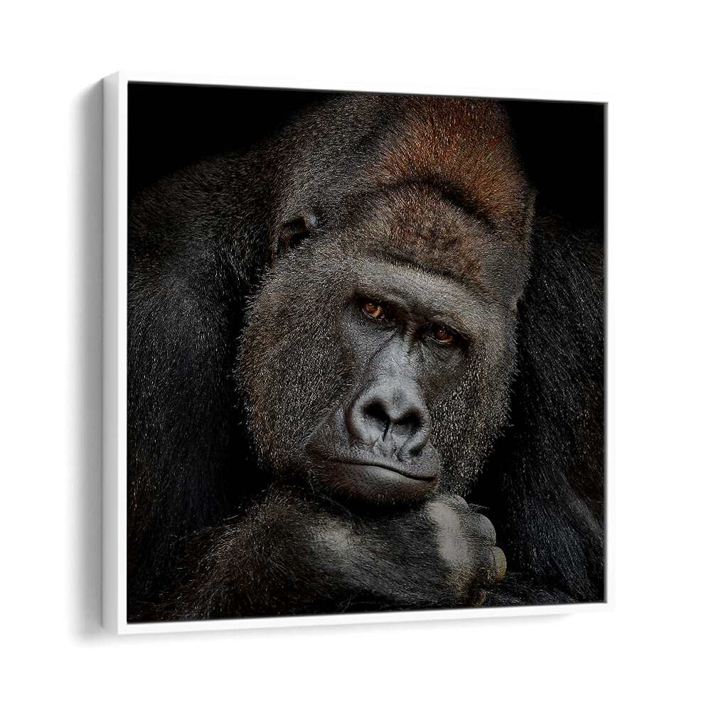 ONE MOMENT IN CONTACT WILDLIFE-PHOTOGRAPHY in White Floater Frame