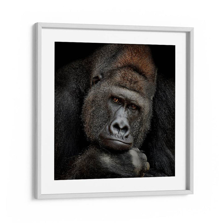 ONE MOMENT IN CONTACT WILDLIFE-PHOTOGRAPHY in White Frame With Mount