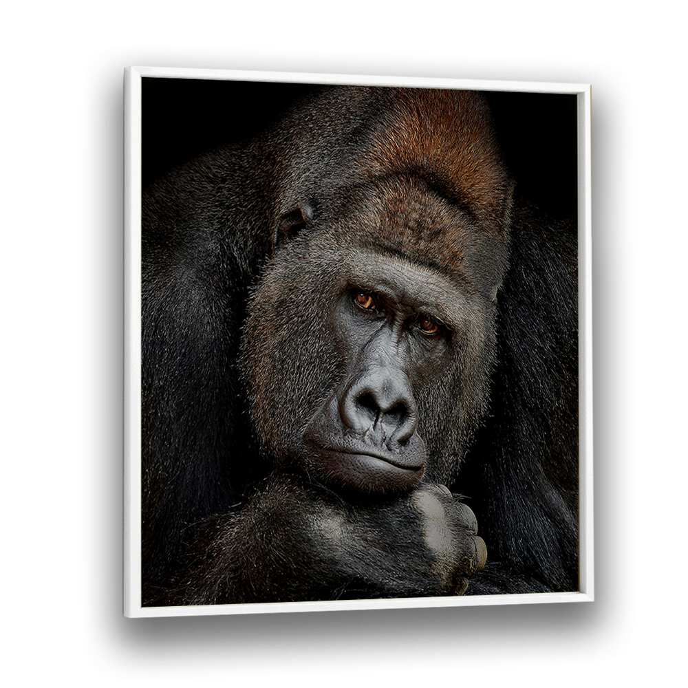 ONE MOMENT IN CONTACT WILDLIFE-PHOTOGRAPHY in White Plain Frame