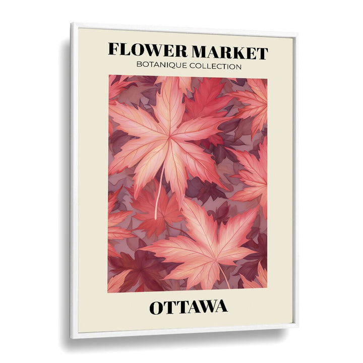 Ottawa-  Flower Marketo  Botanical Flower Paintings Artwork  in White Plain Frame