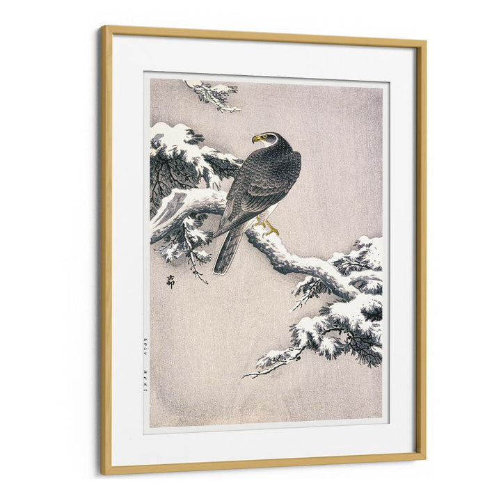 GOSHAWK ON SNOW-COVERED PINE BOUGH BY OHARA KOSON (1877–1945)