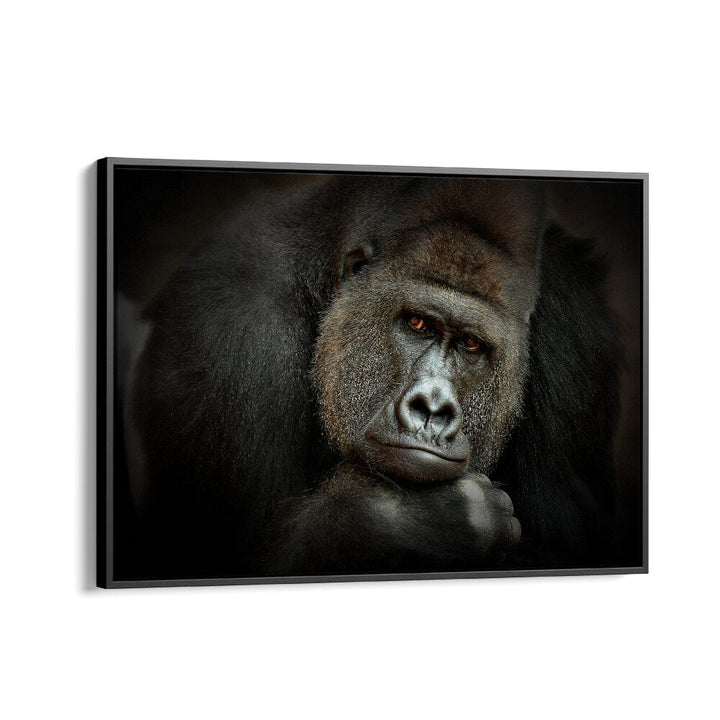 PEACEFUL GIANT WILDLIFE PHOTOGRAPHY in Black Floater Frame