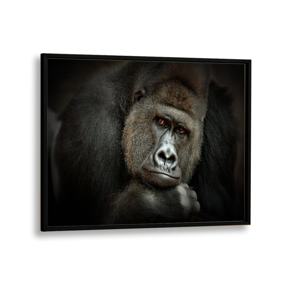 PEACEFUL GIANT WILDLIFE PHOTOGRAPHY in Black Plain Frame