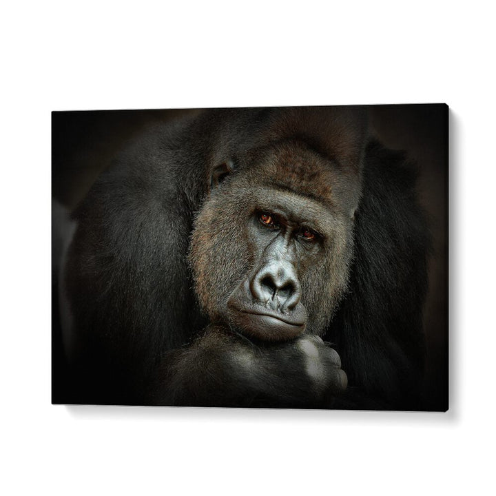 PEACEFUL GIANT WILDLIFE PHOTOGRAPHY in Gallery Wrap