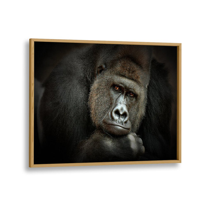 PEACEFUL GIANT WILDLIFE PHOTOGRAPHY in Oak Wood Plain Frame