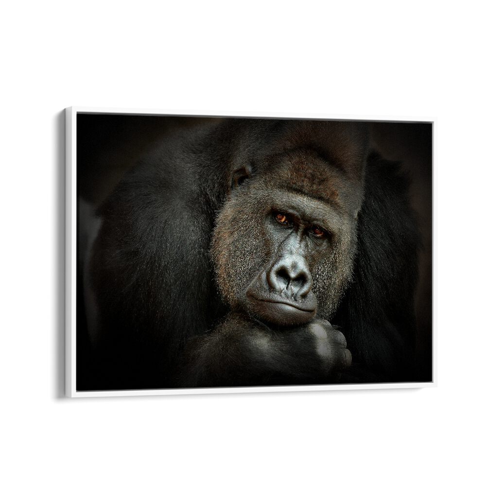 PEACEFUL GIANT WILDLIFE PHOTOGRAPHY in White Floater Frame