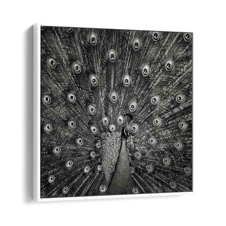 PEACOCK WILDLIFE PHOTOGRAPHY in White Floater Frame