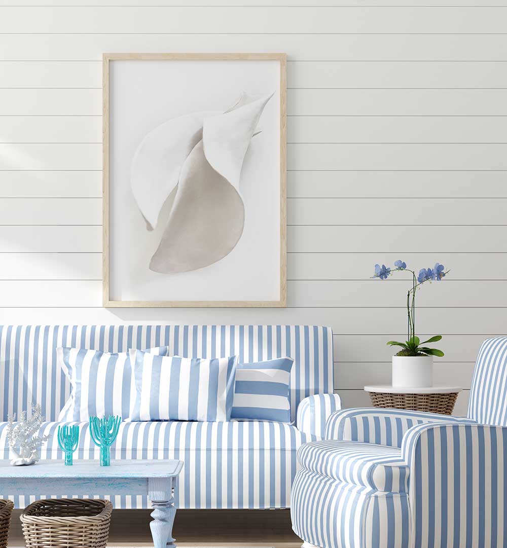 PETAL'S SILENCE , ORGANIC FORMS