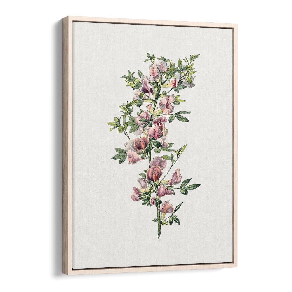 Pink Flower  Botanical Flower Paintings Artwork in Oak Wood Floater Frame