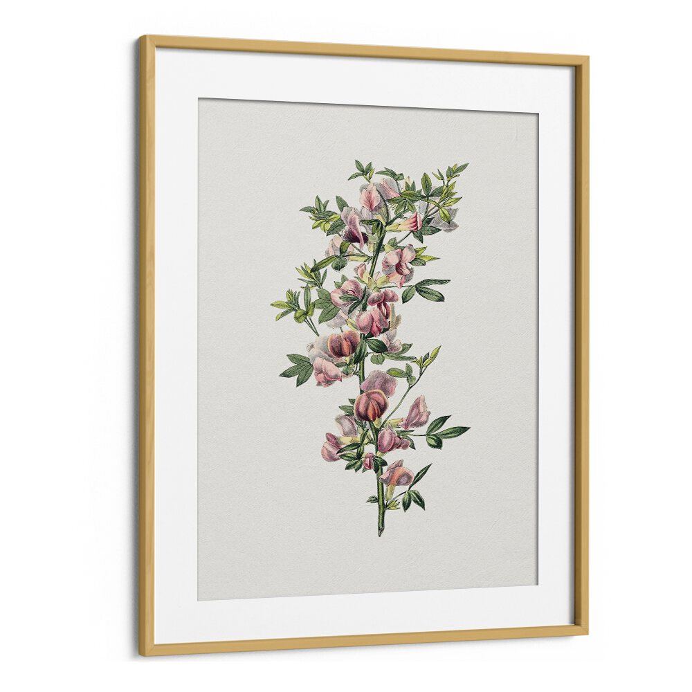 Pink Flower  Botanical Flower Paintings Artwork in Oak Wood Frame With Mount