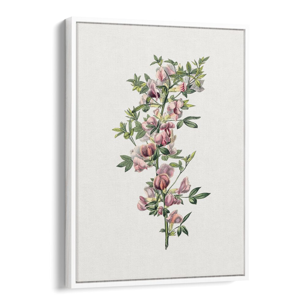 Pink Flower  Botanical Flower Paintings Artwork  in White Floater Frame