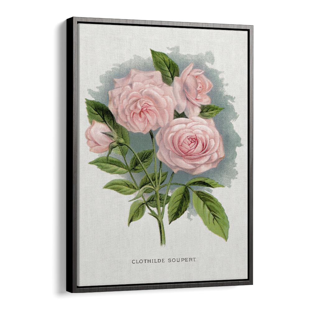 Pink Rose Botanical Flower Paintings Artwork  in Black Floater Frame