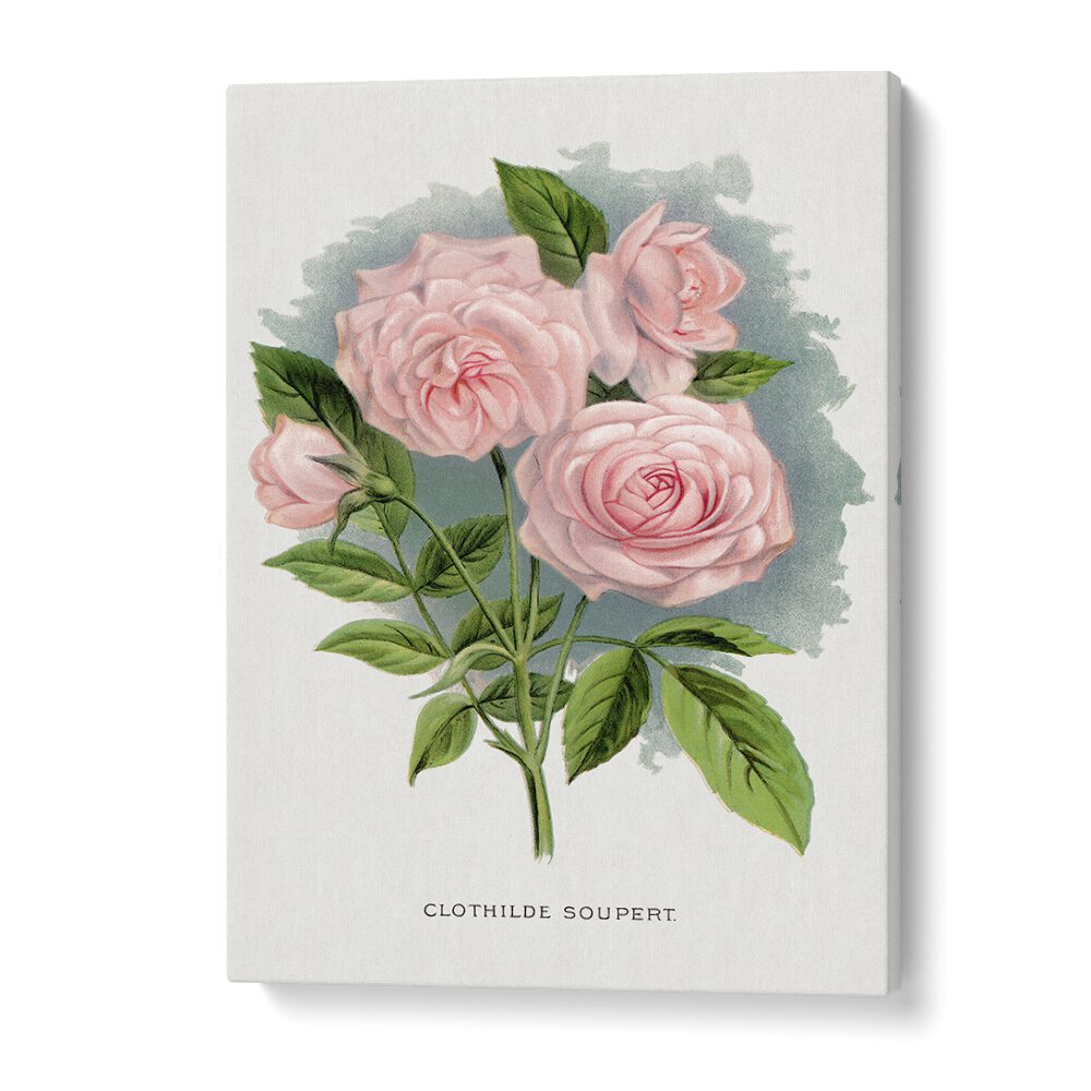 Pink Rose Botanical Flower Paintings Artwork in Gallery Wrap