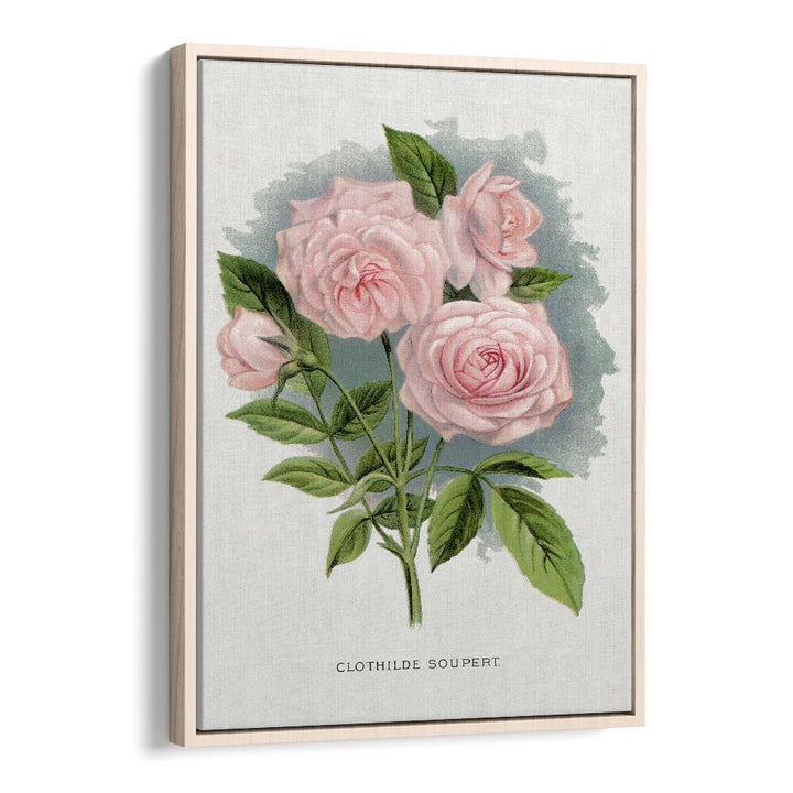 Pink Rose Botanical Flower Paintings Artwork in Oak Wood Floater Frame