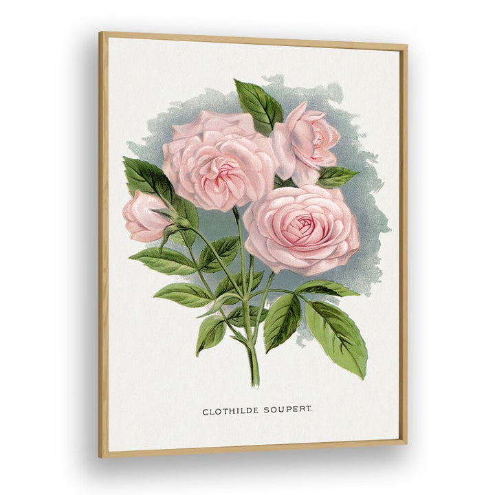 Pink Rose Botanical Flower Paintings Artwork in Oak Wood Plain Frame