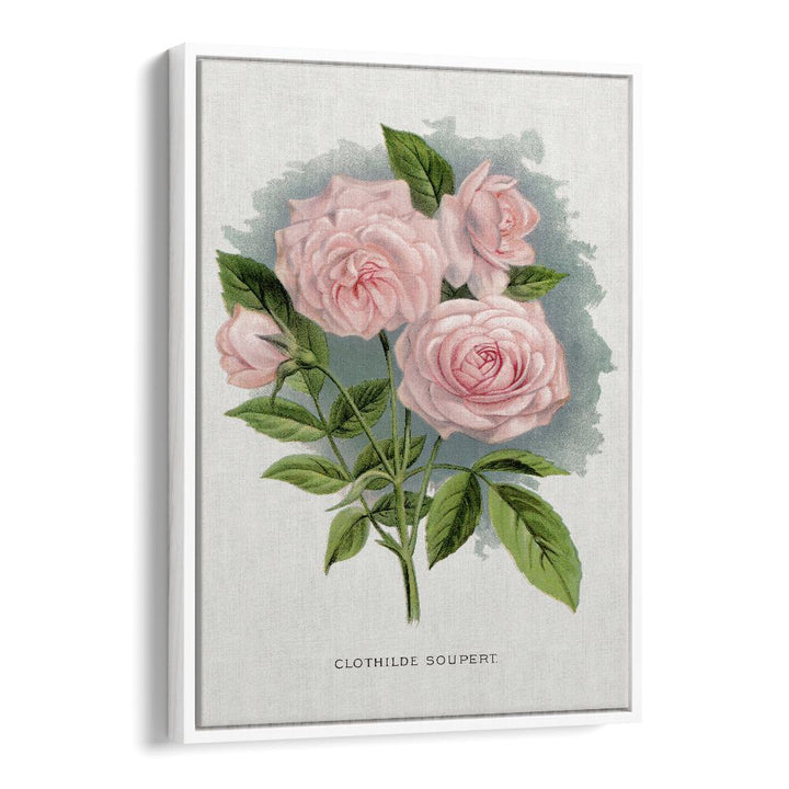 Pink Rose Botanical Flower Paintings Artwork  in White Floater Frame