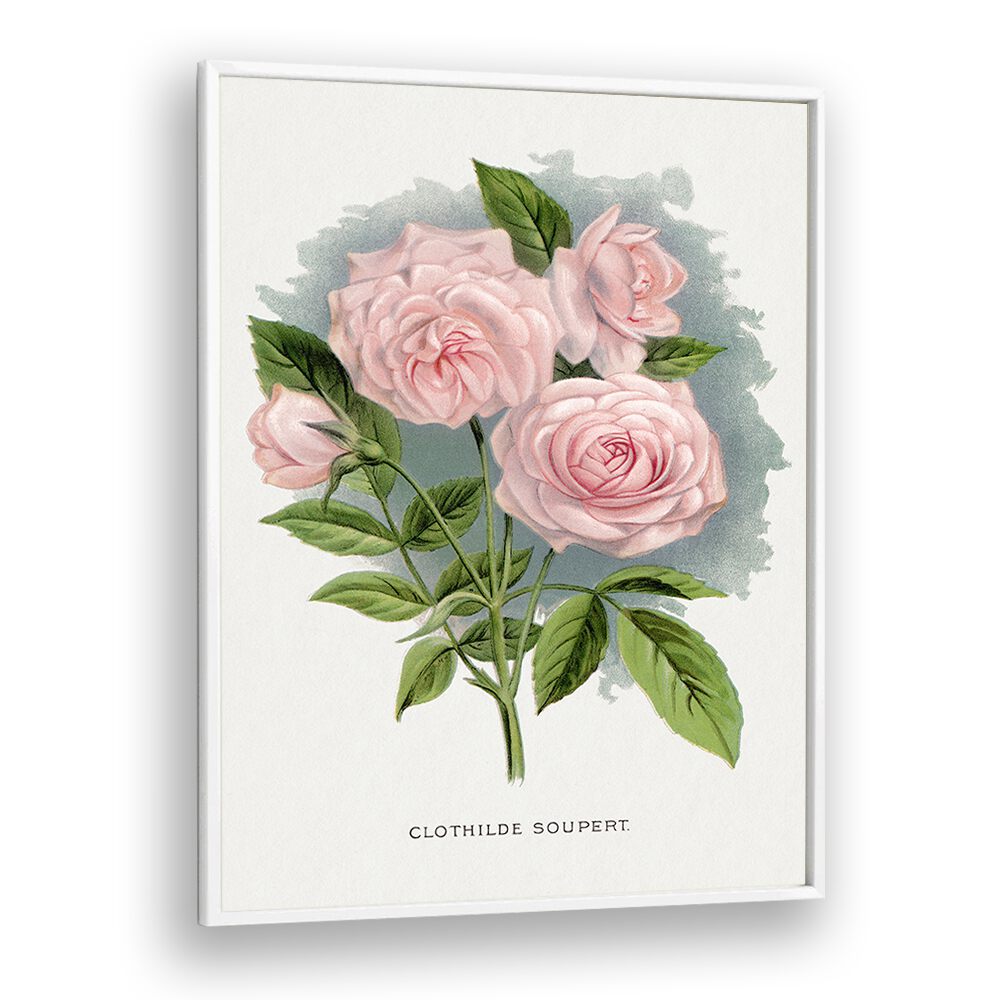 Pink Rose Botanical Flower Paintings Artwork  in White Plain Frame